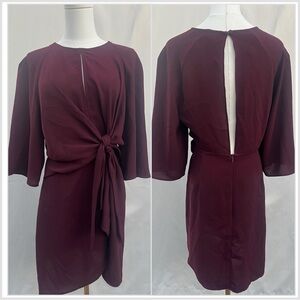 Topshop | Oxblood (Red) Tie Front Minidress (size 8)
